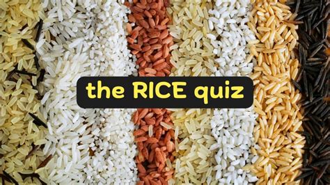 charity quiz questions|Play the Freerice Game: Answer Trivia Questions & Feed Hungry .